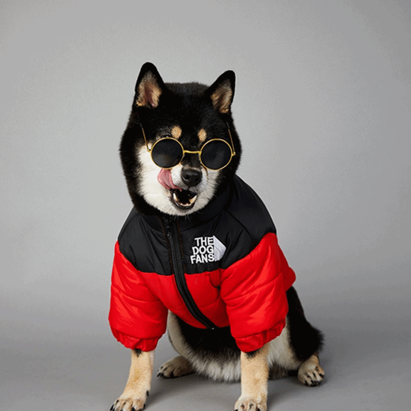 노스 강아지 패딩 점퍼 옐로우 레드 강아지옷 강아지겨울옷