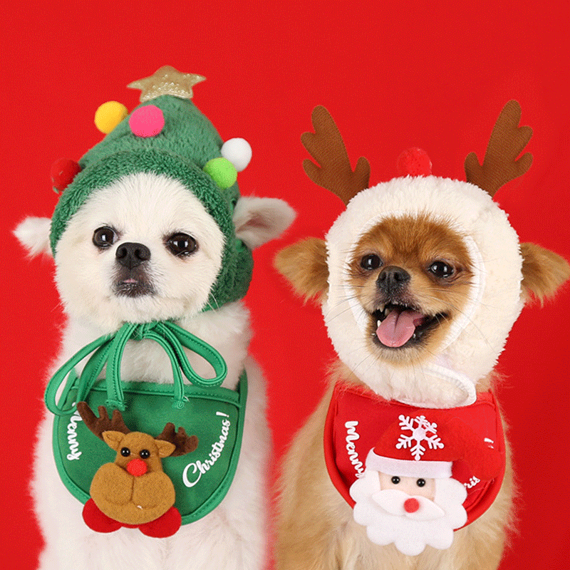 강아지 크리스마스 모자 고양이 꼬깔트리 루돌프 스카프세트 코스튬 강아지모자