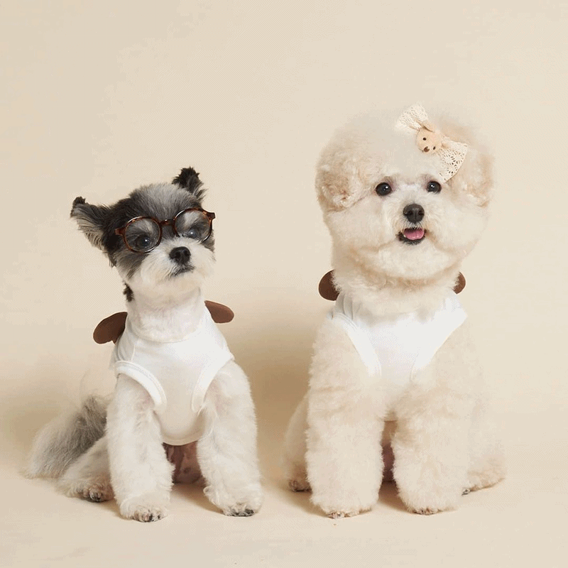 고소미 왕곰돌이 강아지 티셔츠 맨투맨 강아지 실내복 강아지옷