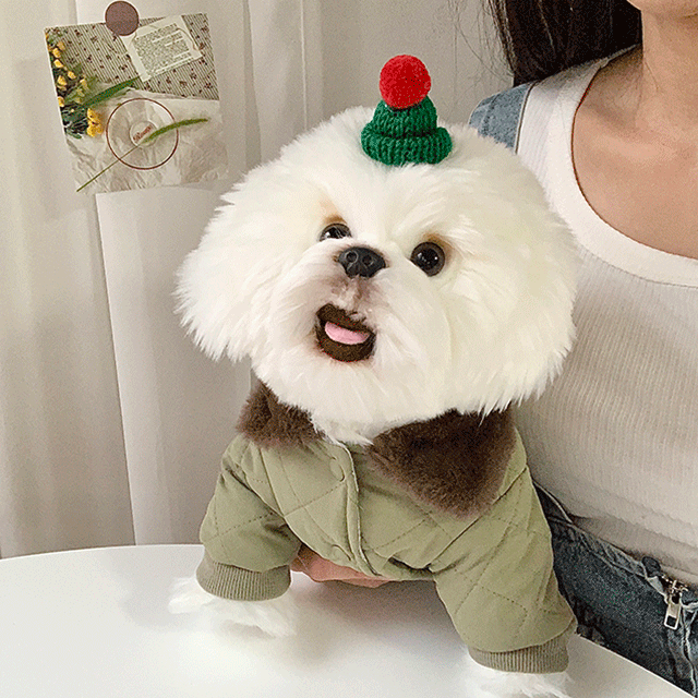 강아지옷 패딩옷 겨울옷 조끼 귀여운 강아지옷 누빔패딩