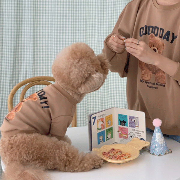 강아지옷 곰돌이 맨투맨 티셔츠 테디베어 S-XL