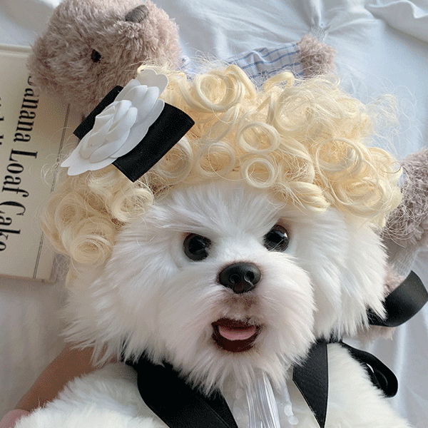 강아지 코스프레 고양이 가발 모자 애견 사진촬영 소품 컨셉사진 코스튬