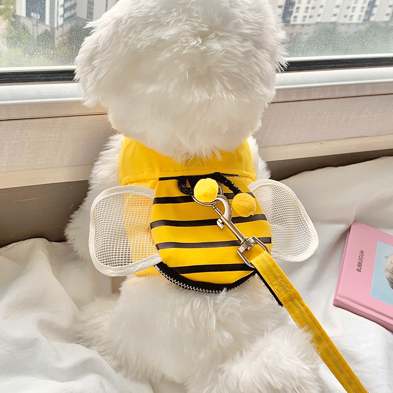강아지 꿀벌 하네스 소형견 찍찍이 가방하네스 S-XL