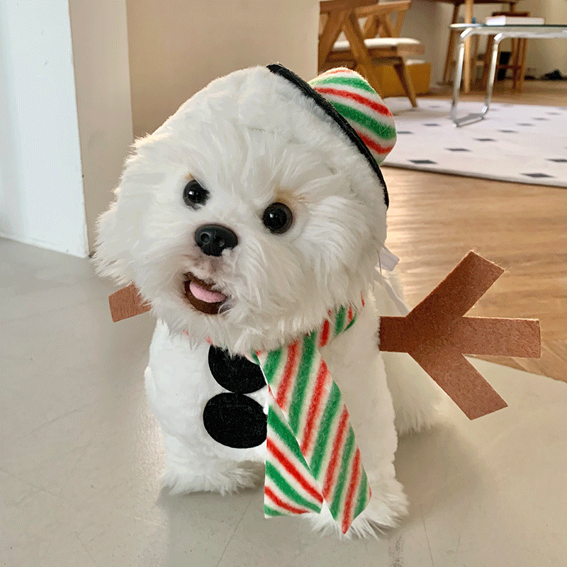 강아지옷 눈사람 코스튬 코스프레 크리스마스 반려견 반려묘 강아지후드