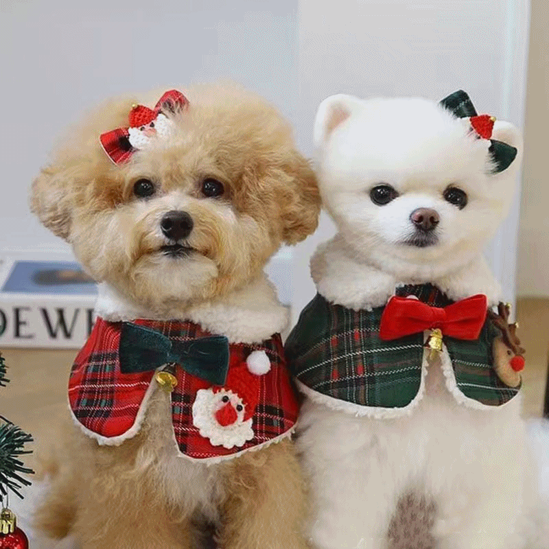강아지 크리스마스망토 고양이 루돌프 산타 스카프세트 코스튬 강아지옷